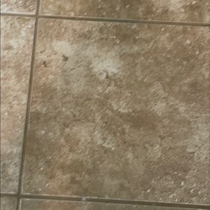 Meet your Posher, Dwarakanath